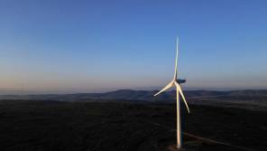 DFMs pull back from Ninety One Global Environment